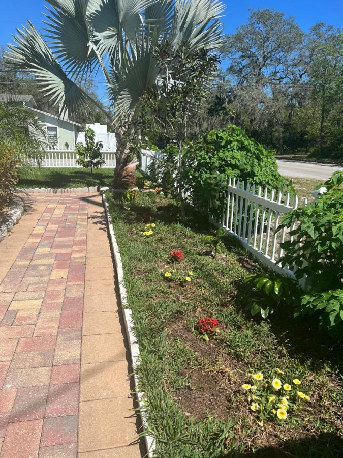 Caribbean Splendor Vacation Rental Near Bush Gardens Tampa Fl מראה חיצוני תמונה