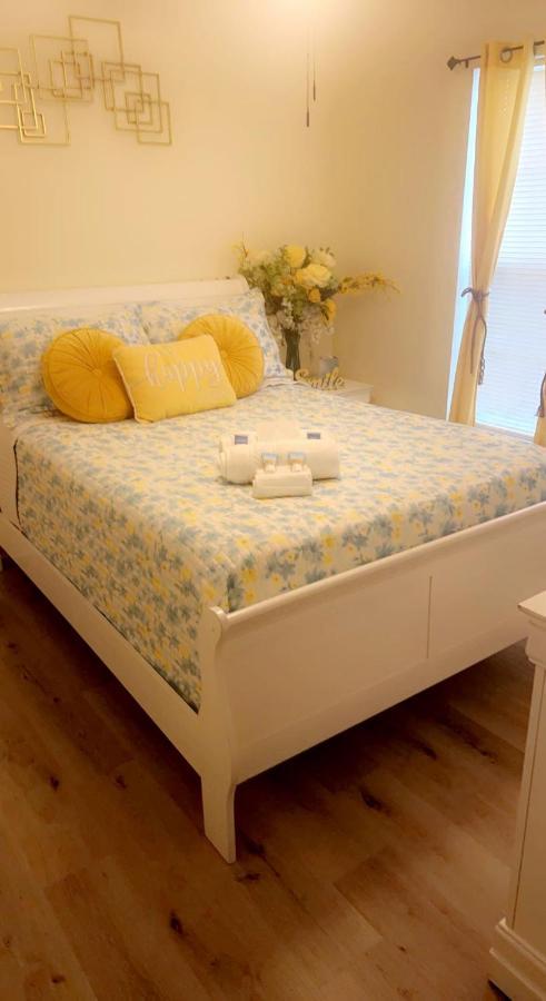 Caribbean Splendor Vacation Rental Near Bush Gardens Tampa Fl מראה חיצוני תמונה