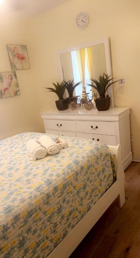 Caribbean Splendor Vacation Rental Near Bush Gardens Tampa Fl מראה חיצוני תמונה